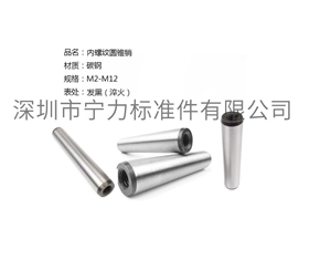 內螺紋圓錐銷